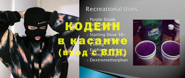 хмурый Пересвет