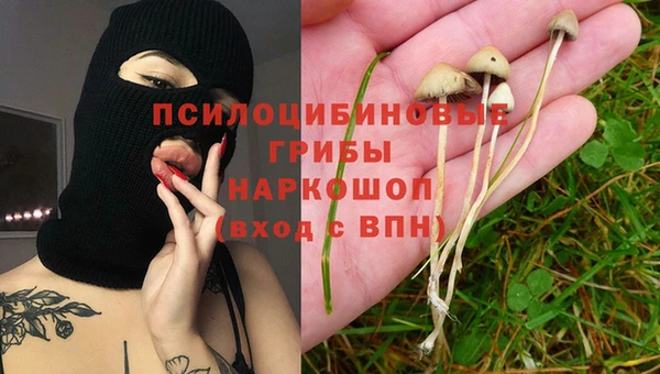 соль ск Арсеньев